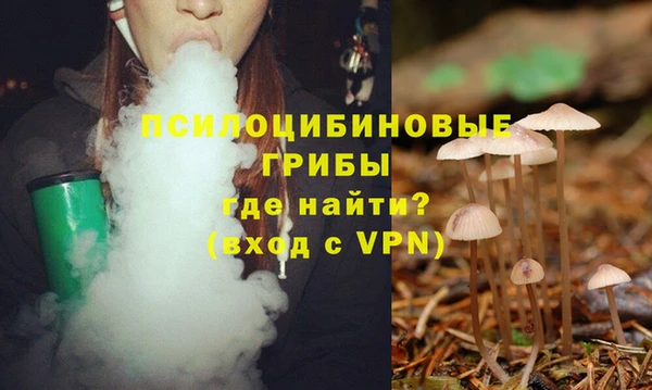 гидропоника Михайловка
