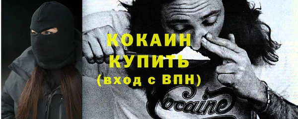 тгк Михайлов