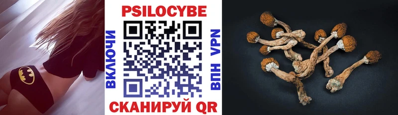 Псилоцибиновые грибы прущие грибы  Иваново 