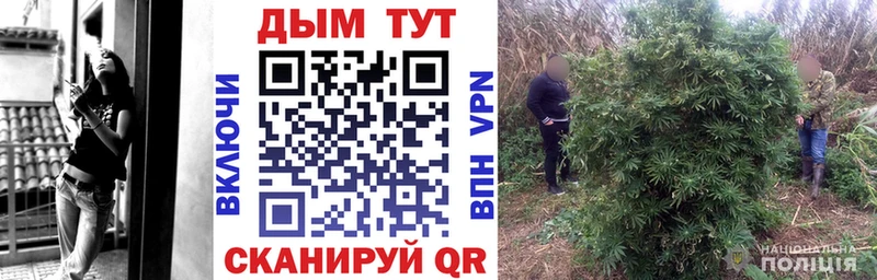 Канабис план Иваново